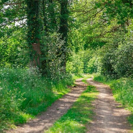 Vakantiepark Westerwolde Pagedal Стадсканал Екстериор снимка