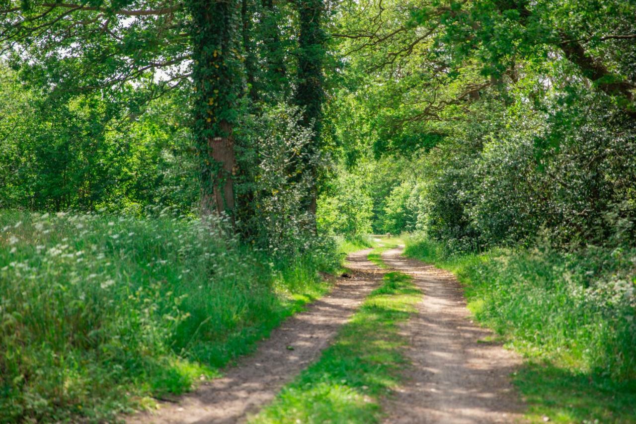 Vakantiepark Westerwolde Pagedal Стадсканал Екстериор снимка