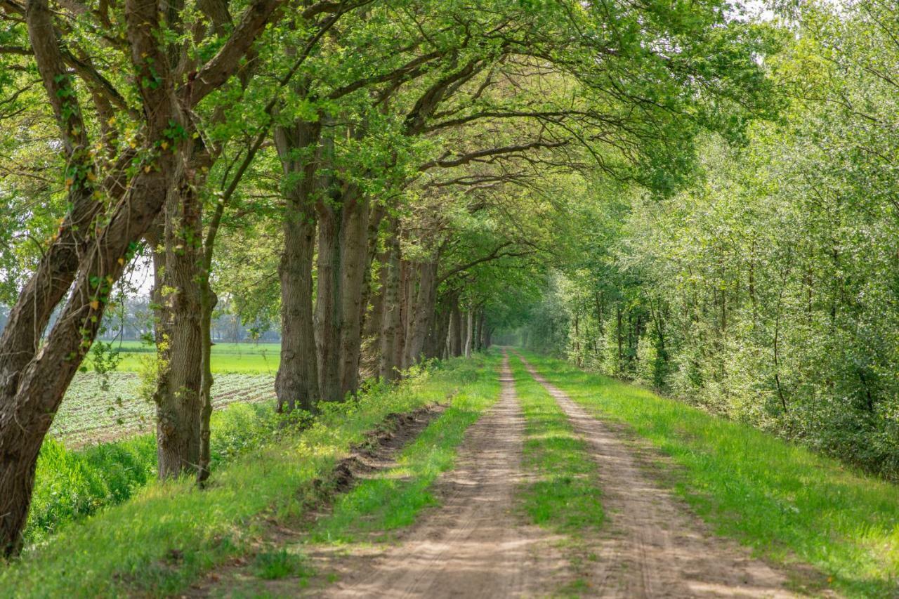 Vakantiepark Westerwolde Pagedal Стадсканал Екстериор снимка